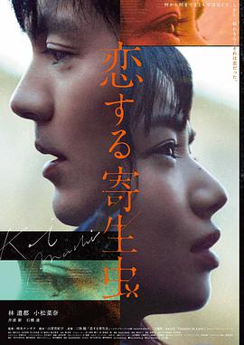 《月球坠落》海报